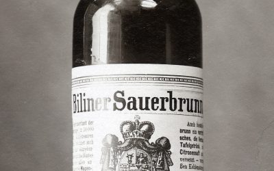 Biliner Sauerbrunn foto láhve 1899